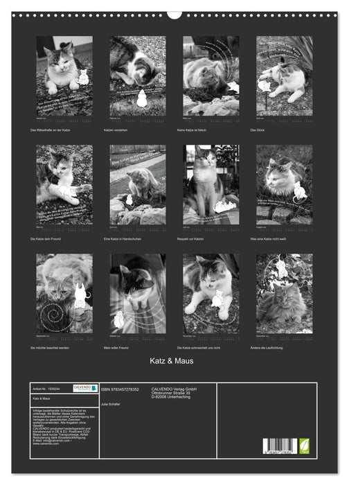 Katz & Maus (CALVENDO Wandkalender 2026)