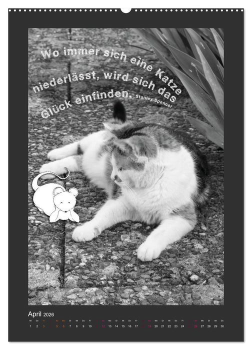 Katz & Maus (CALVENDO Wandkalender 2026)
