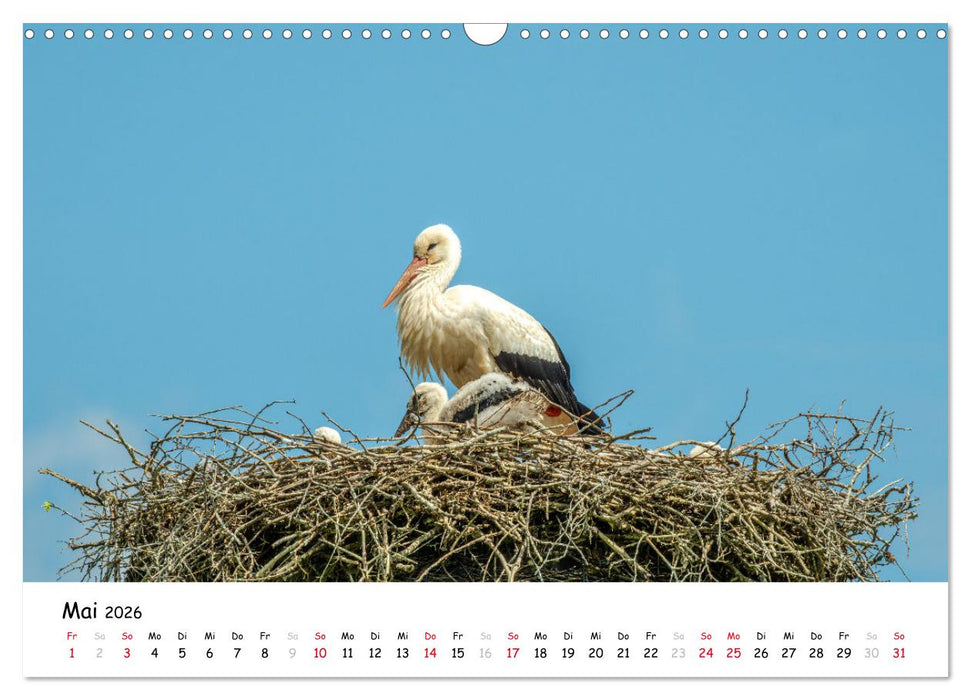 Fotogenes Nordhessen (CALVENDO Wandkalender 2026)