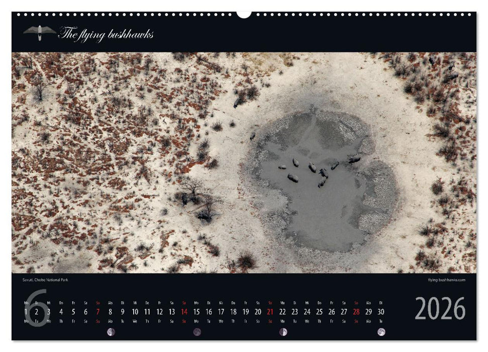 Botswana Blickwinkel 2026 (CALVENDO Premium Wandkalender 2026)