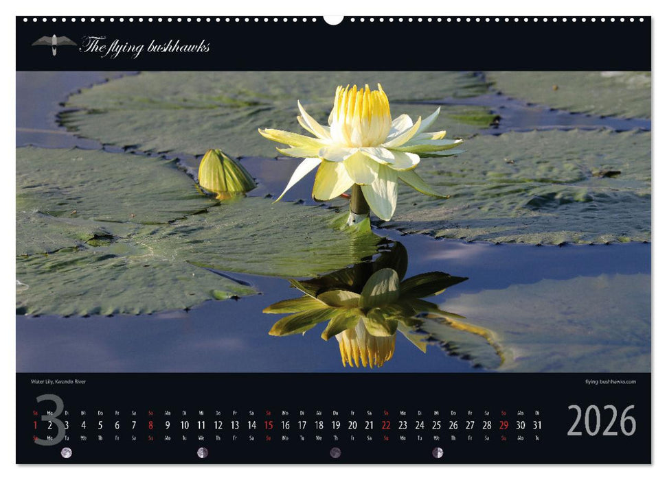 Botswana Blickwinkel 2026 (CALVENDO Wandkalender 2026)