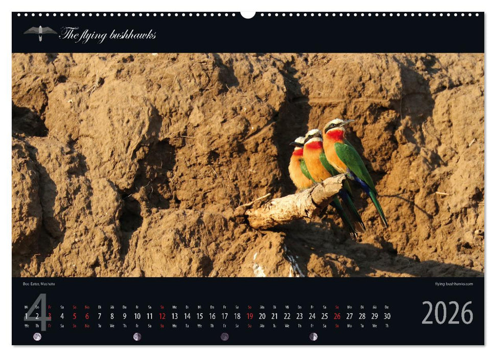 Botswana Blickwinkel 2026 (CALVENDO Wandkalender 2026)