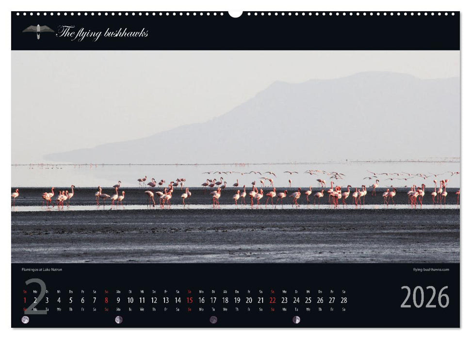 Tansania Blickwinkel 2026 (CALVENDO Wandkalender 2026)