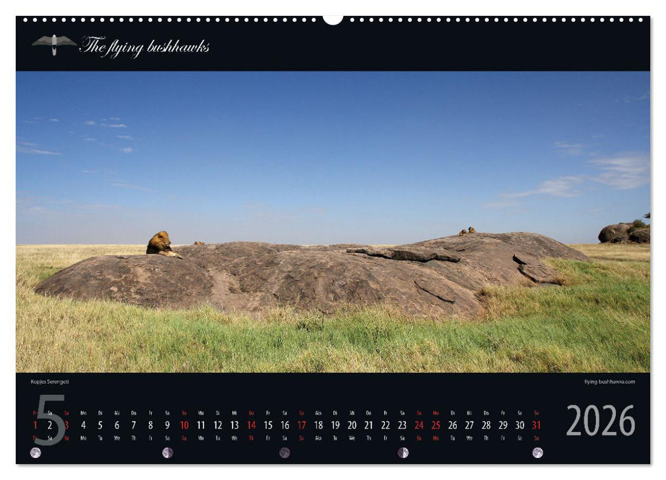 Tansania Blickwinkel 2026 (CALVENDO Wandkalender 2026)