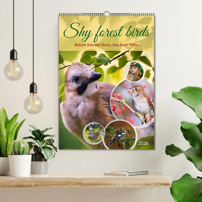 Shy forest birds (CALVENDO Monthly Calendar 2026)