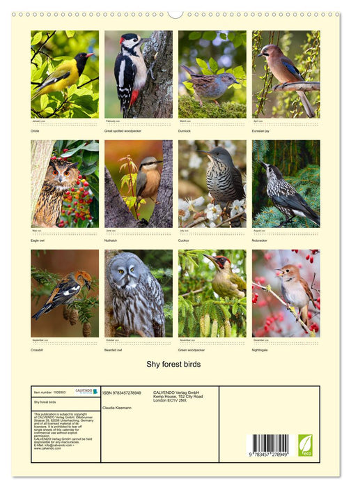 Shy forest birds (CALVENDO Premium-Calendar 2026)