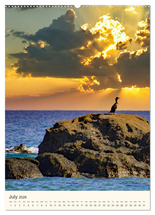 A feast for the eyes - Crete (CALVENDO Premium-Calendar 2026)