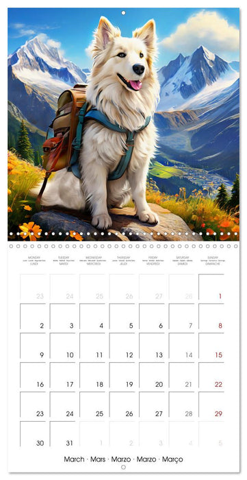Cute pets discover the world (CALVENDO Monthly Calendar 2026)