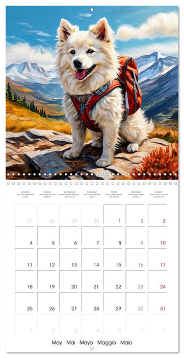 Cute pets discover the world (CALVENDO Monthly Calendar 2026)