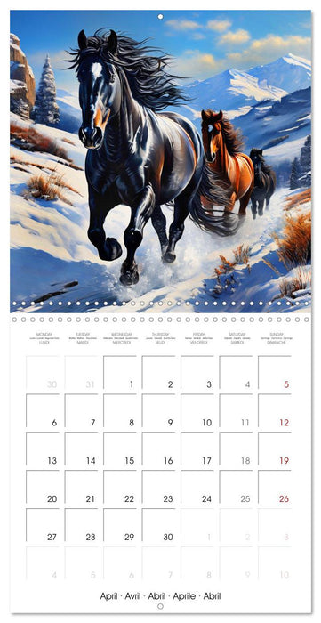 Horse - Beauty and Symbol of Freedom (CALVENDO Monthly Calendar 2026)