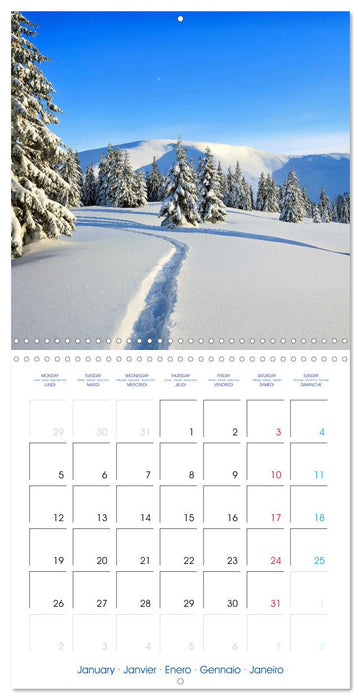 Ski mountaineering - Experience the mountains in winter (CALVENDO Monthly Calendar 2026)