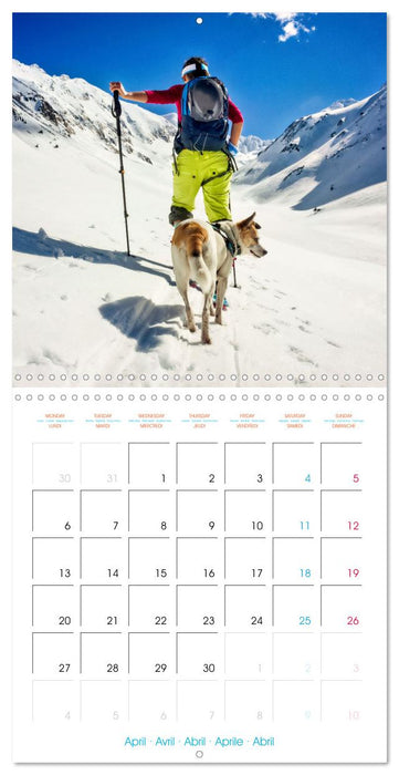 Ski mountaineering - Experience the mountains in winter (CALVENDO Monthly Calendar 2026)