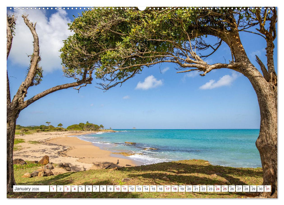Beaches of the world (CALVENDO Premium-Calendar 2026)
