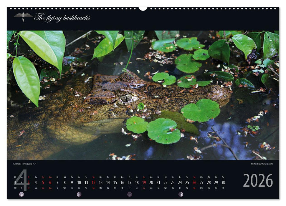 Costa Rica Blickwinkel 2026 (CALVENDO Premium Wandkalender 2026)