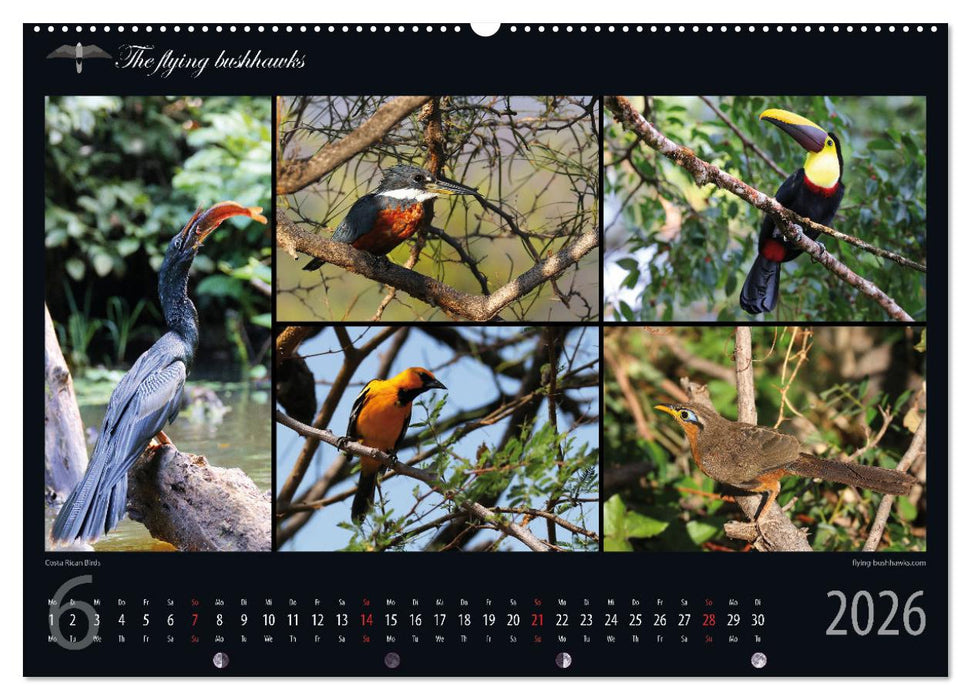Costa Rica Blickwinkel 2026 (CALVENDO Premium Wandkalender 2026)