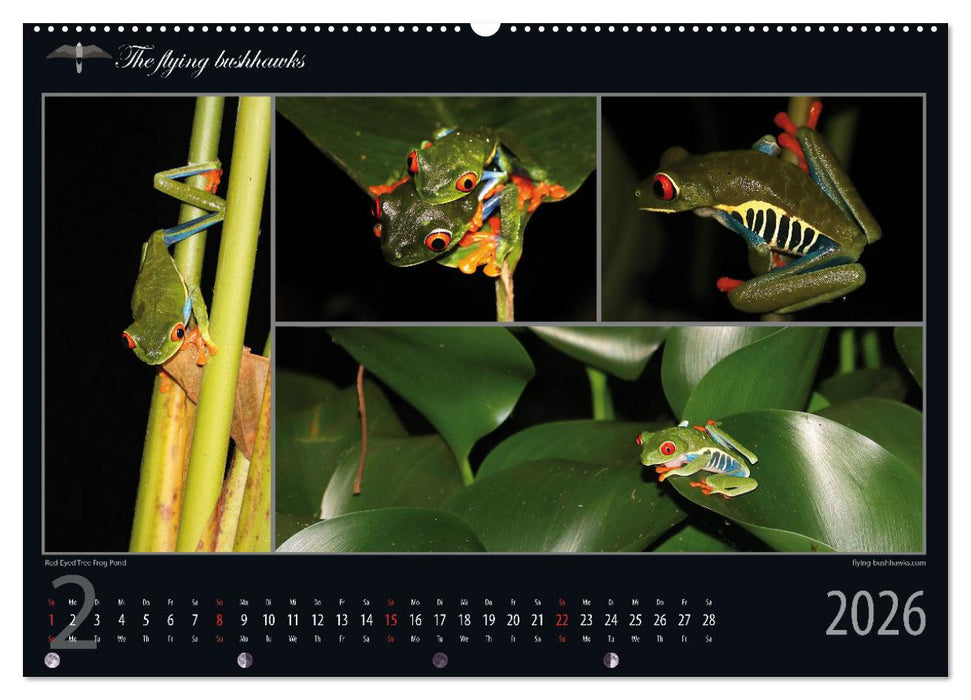 Costa Rica Blickwinkel 2026 (CALVENDO Wandkalender 2026)