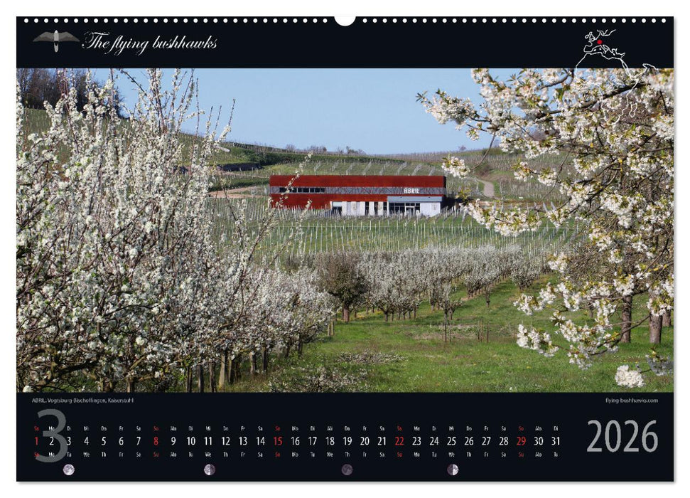 Wein & Architektur 2026 (CALVENDO Wandkalender 2026)