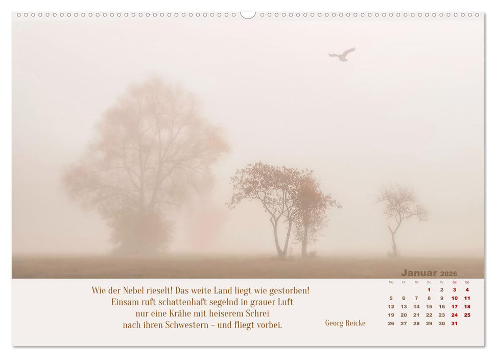 Nebelfarben. Ein poetischer Spaziergang (CALVENDO Wandkalender 2026)
