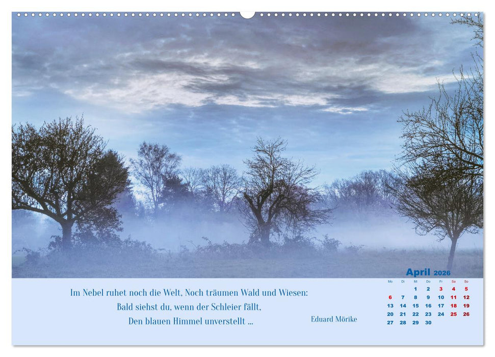 Nebelfarben. Ein poetischer Spaziergang (CALVENDO Premium Wandkalender 2026)