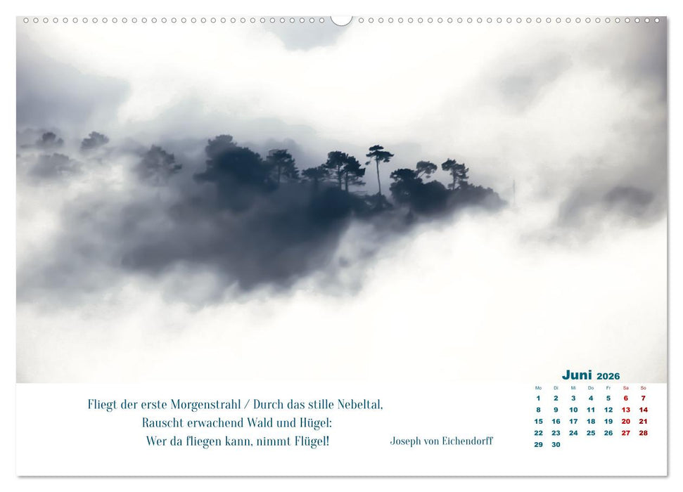 Nebelfarben. Ein poetischer Spaziergang (CALVENDO Premium Wandkalender 2026)
