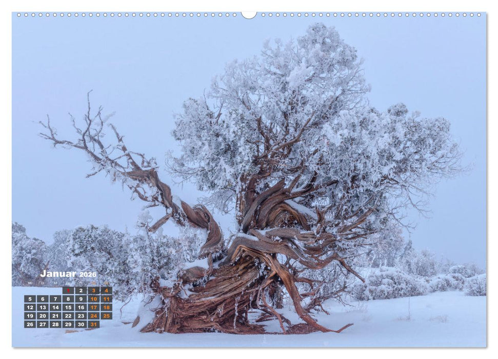 Kraftplätze der Indianer (CALVENDO Wandkalender 2026)