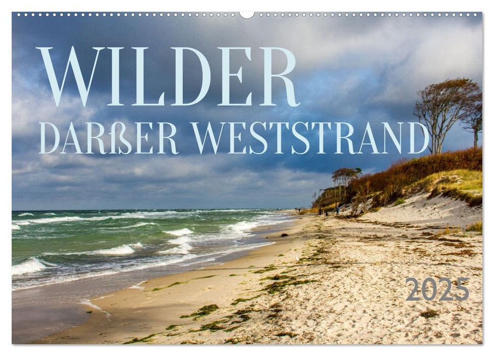 Wilder Darßer Weststrand (CALVENDO Wandkalender 2026)