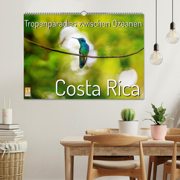 Tropenparadies zwischen Ozeanen Costa Rica (CALVENDO Wandkalender 2026)