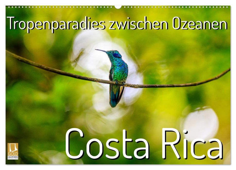 Tropenparadies zwischen Ozeanen Costa Rica (CALVENDO Wandkalender 2026)