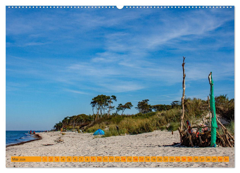Wilder Darßer Weststrand (CALVENDO Premium Wandkalender 2026)