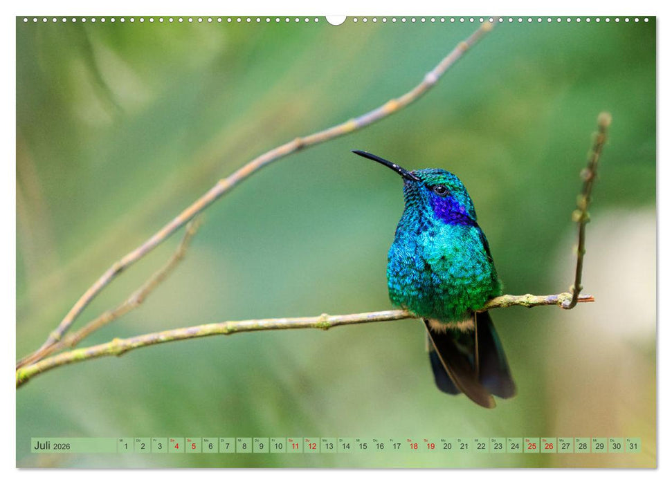 Tropenparadies zwischen Ozeanen Costa Rica (CALVENDO Premium Wandkalender 2026)