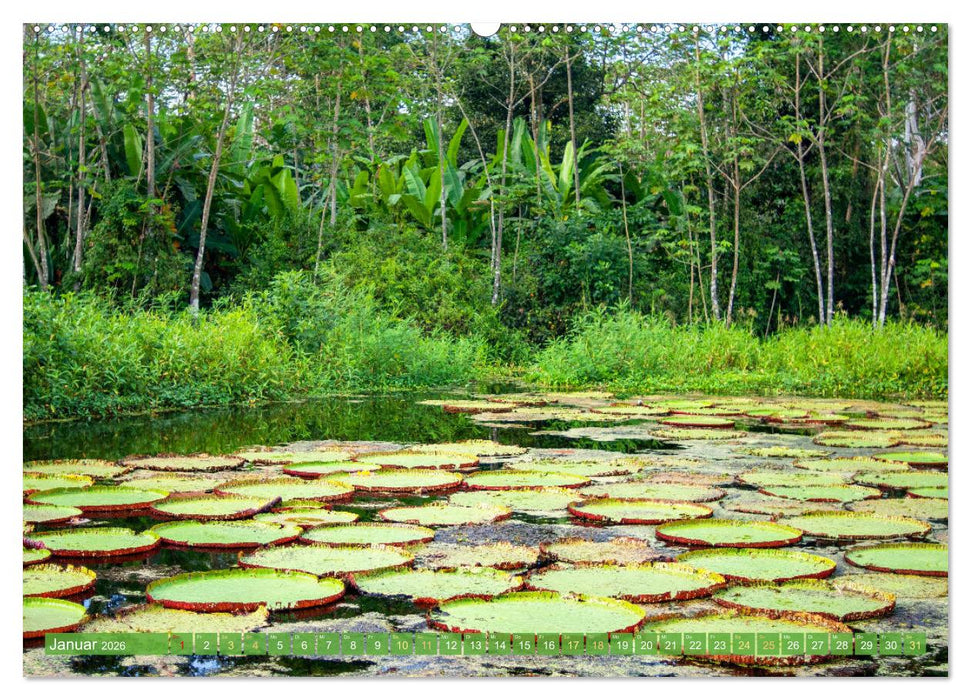 Der Amazonas: von den Anden zum Atlantik (CALVENDO Wandkalender 2026)