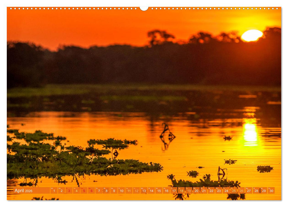 Der Amazonas: von den Anden zum Atlantik (CALVENDO Wandkalender 2026)