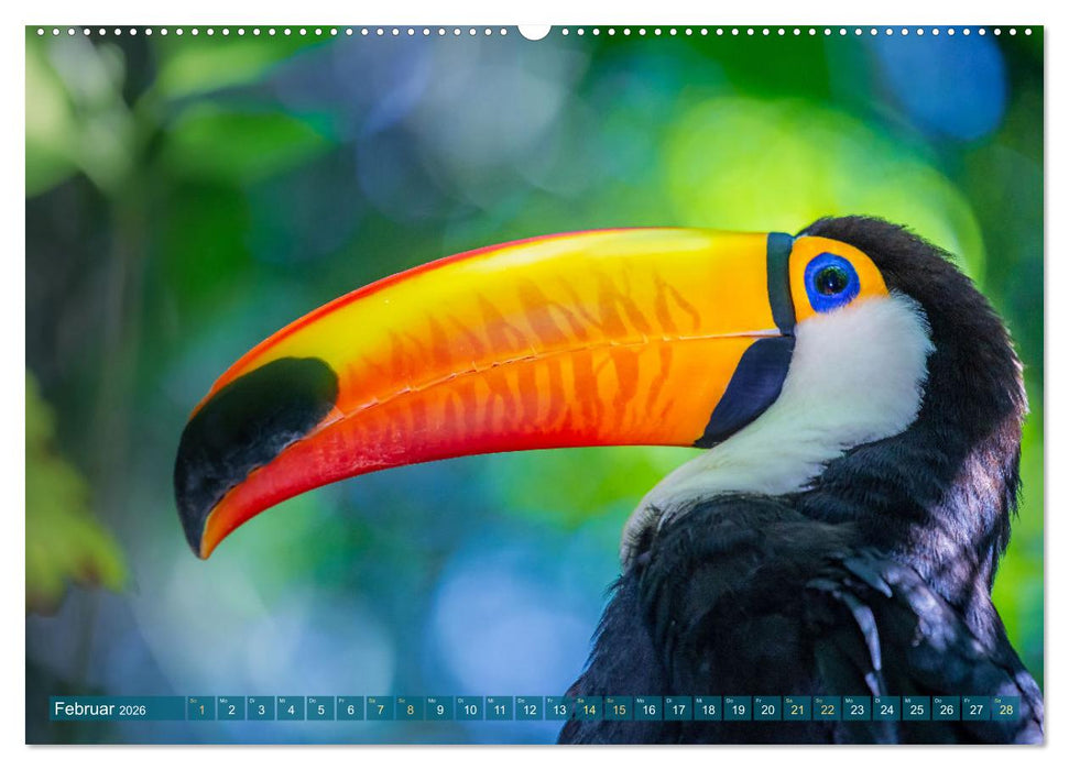 Der Amazonas: von den Anden zum Atlantik (CALVENDO Premium Wandkalender 2026)