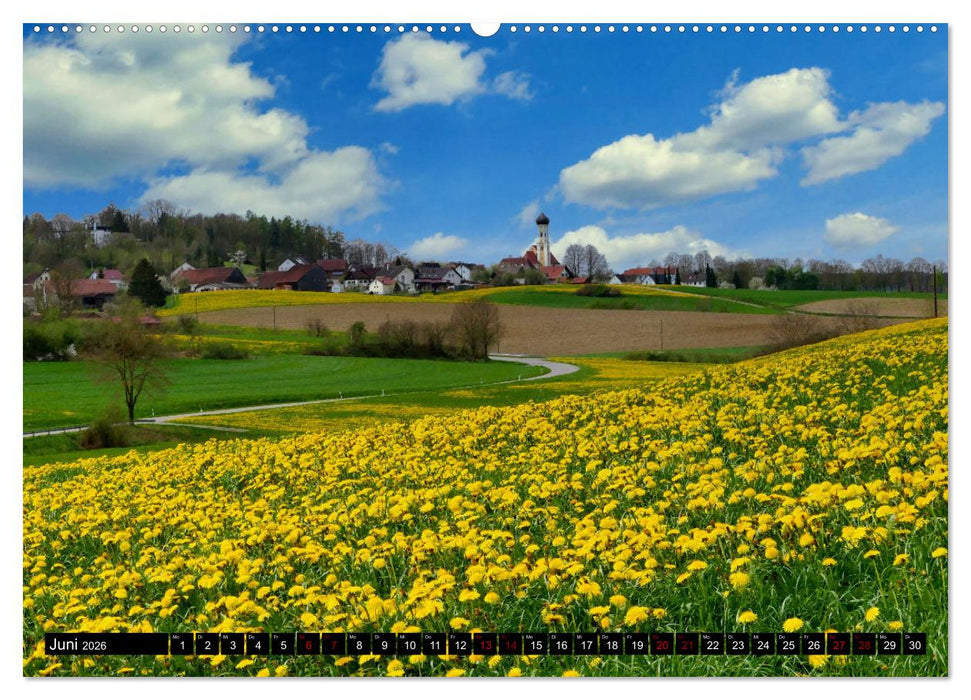 Die Stauden - Heimat in den westlichen Wälder Augsburg (CALVENDO Premium Wandkalender 2026)