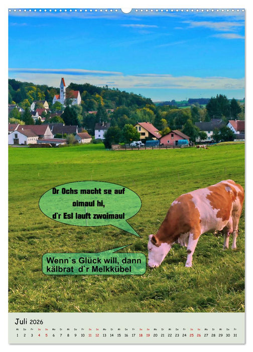 Schwäbische Sprichwörter - so gsaid (CALVENDO Premium Wandkalender 2026)