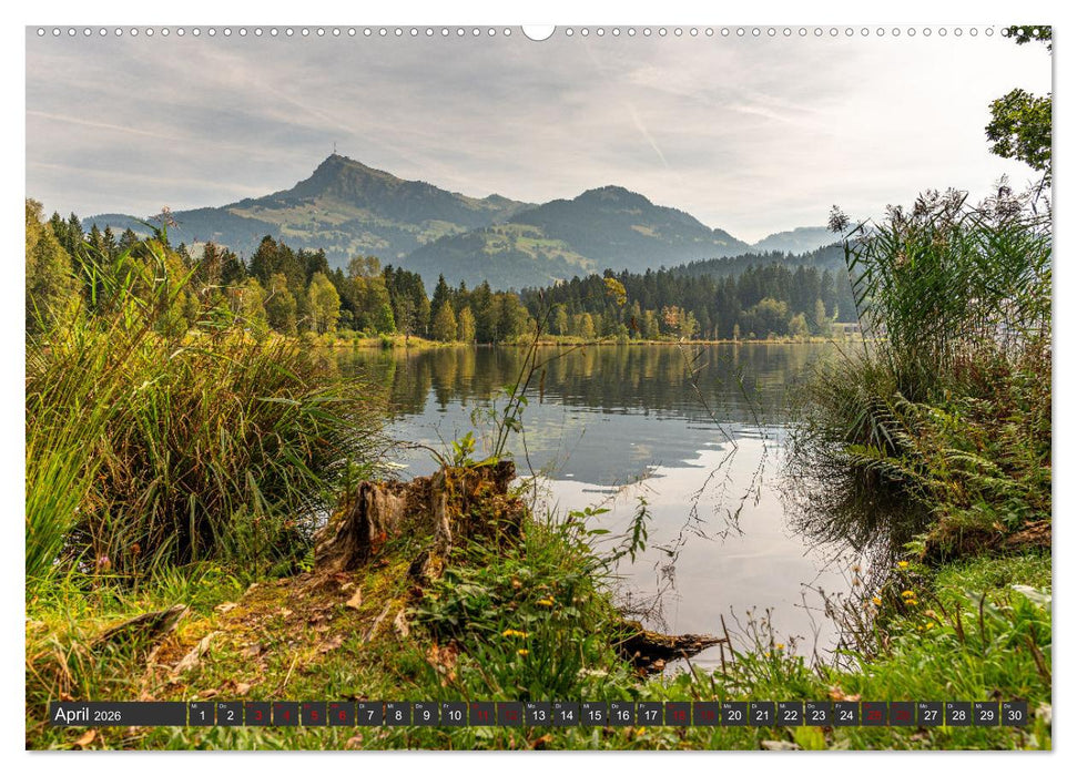 Seen in Österreich (CALVENDO Wandkalender 2026)
