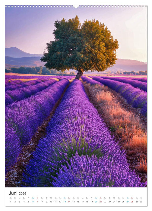 Zwischen Meer und Bergen (CALVENDO Wandkalender 2026)