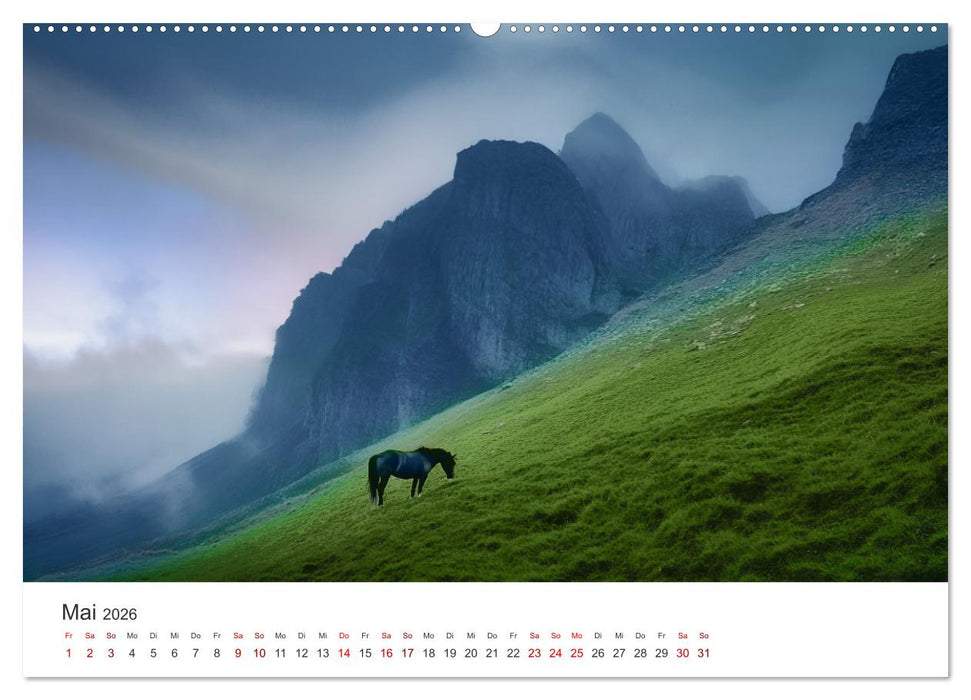 Im Wind der Freiheit - Ein Jahr voller Pferde (CALVENDO Premium Wandkalender 2026)