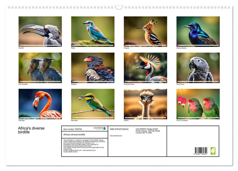Africa's diverse birdlife (CALVENDO Monthly Calendar 2026)
