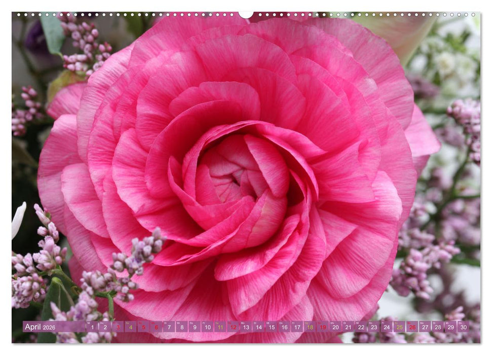 Blütenwunder - Mit Blumen durchs ganze Gartenjahr (CALVENDO Wandkalender 2026)