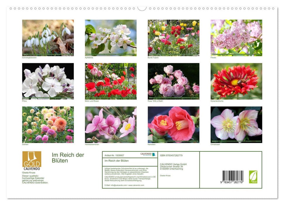 Im Reich der Blüten (CALVENDO Premium Wandkalender 2026)