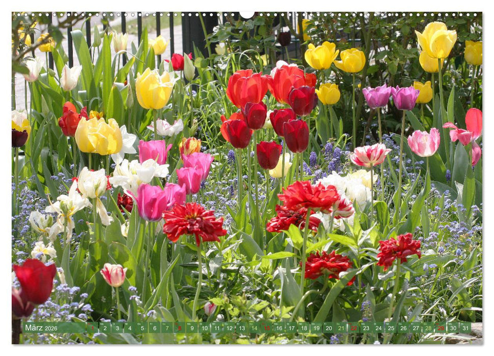 Im Reich der Blüten (CALVENDO Premium Wandkalender 2026)