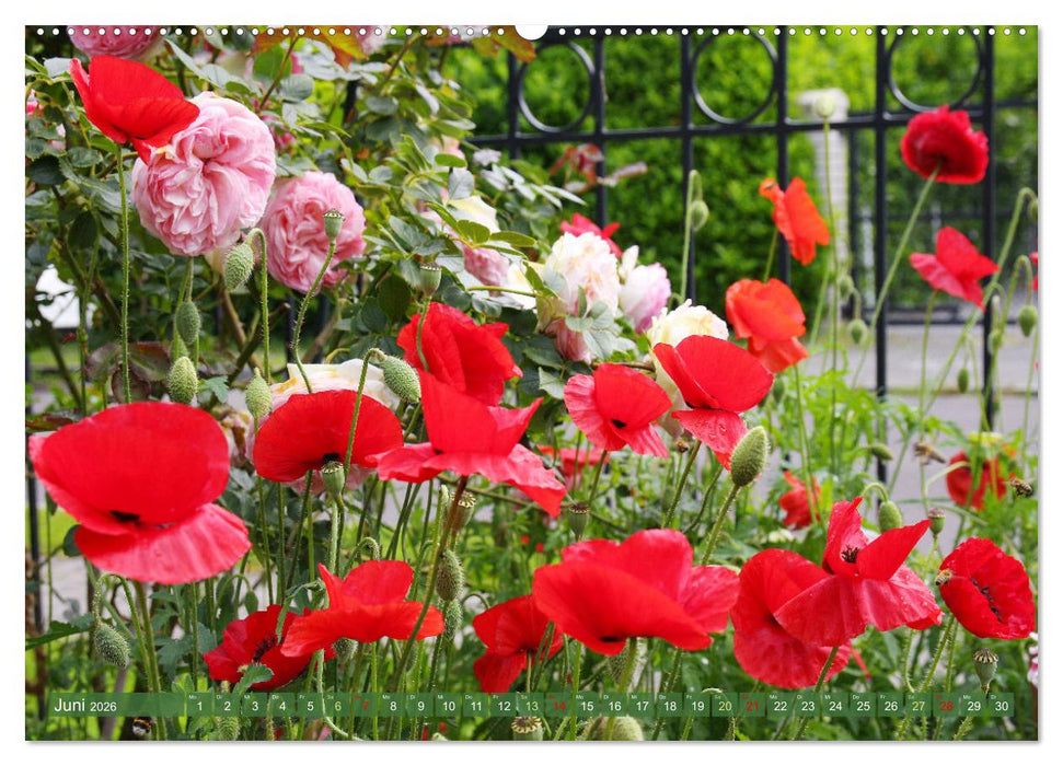 Im Reich der Blüten (CALVENDO Premium Wandkalender 2026)