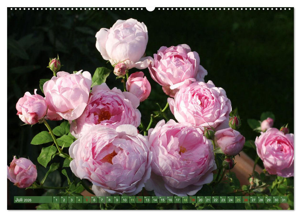 Im Reich der Blüten (CALVENDO Premium Wandkalender 2026)