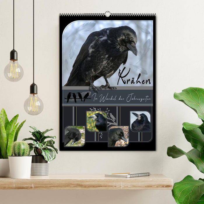 Krähen - Im Wandel der Jahreszeiten (CALVENDO Wandkalender 2026)