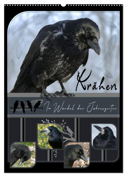 Krähen - Im Wandel der Jahreszeiten (CALVENDO Wandkalender 2026)