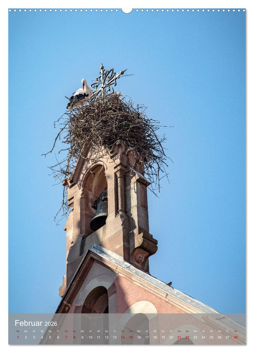EGUISHEIM Eins der schönsten Dörfer Frankreichs (CALVENDO Premium Wandkalender 2026)