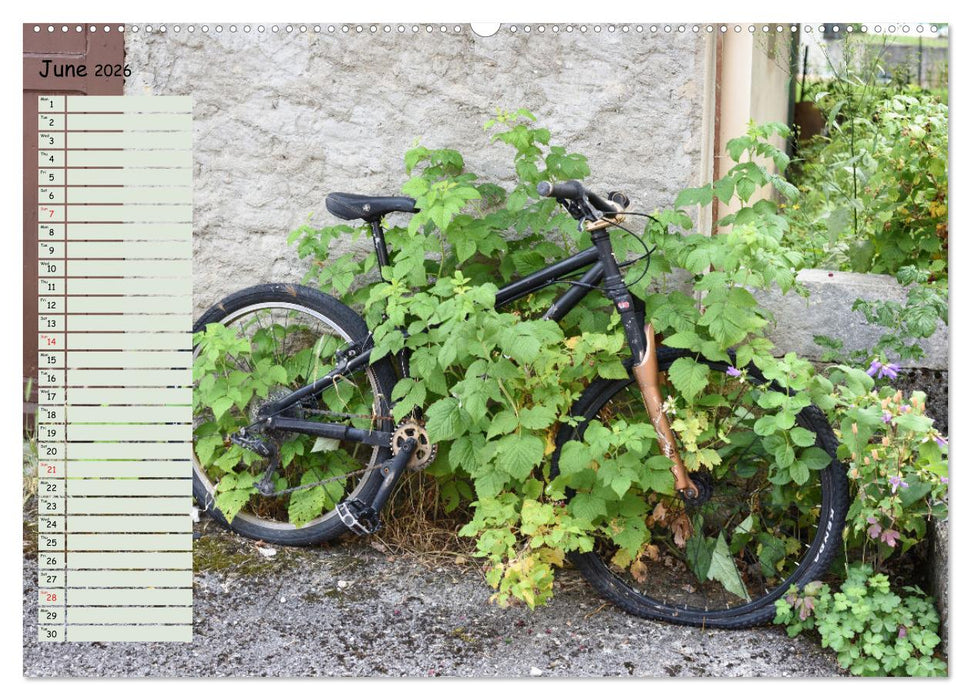 Abandoned Provence (CALVENDO Premium-Calendar 2026)