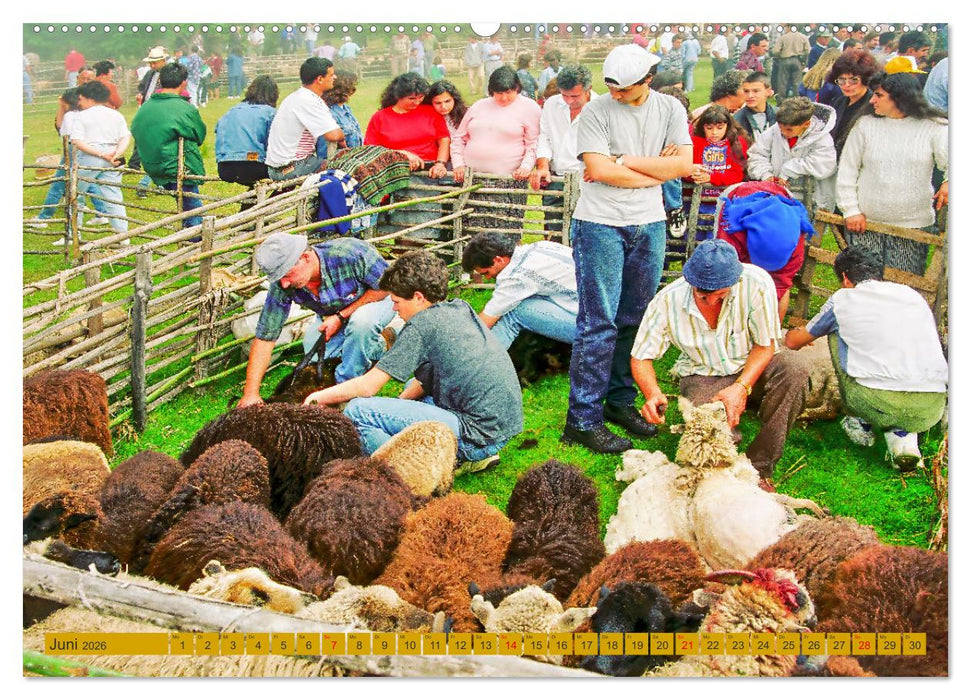 Madeira, Insel im ewigen Frühling (CALVENDO Wandkalender 2026)