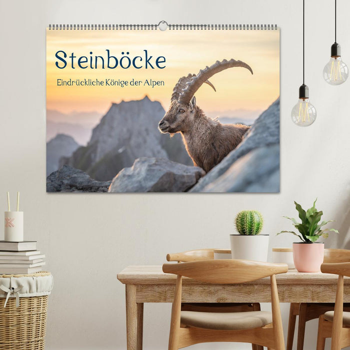 Steinböcke - Eindrückliche Könige der Alpen (CALVENDO Wandkalender 2026)